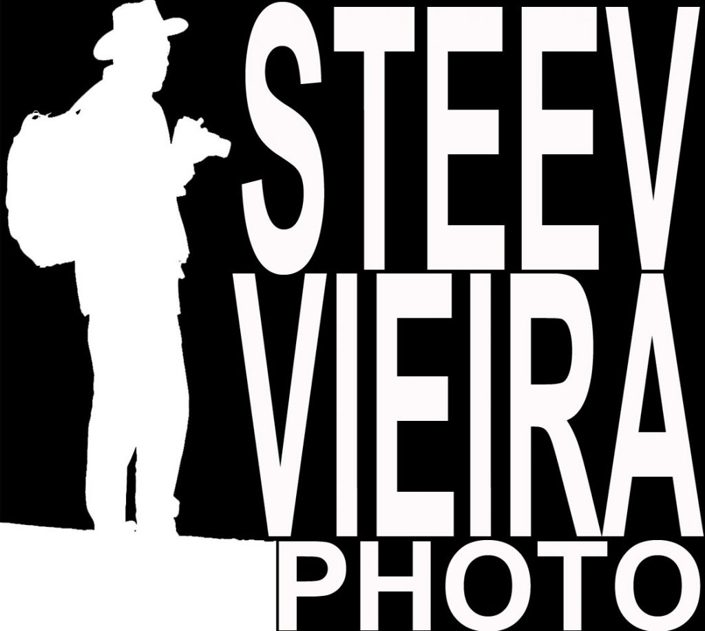Steev Vieira logo